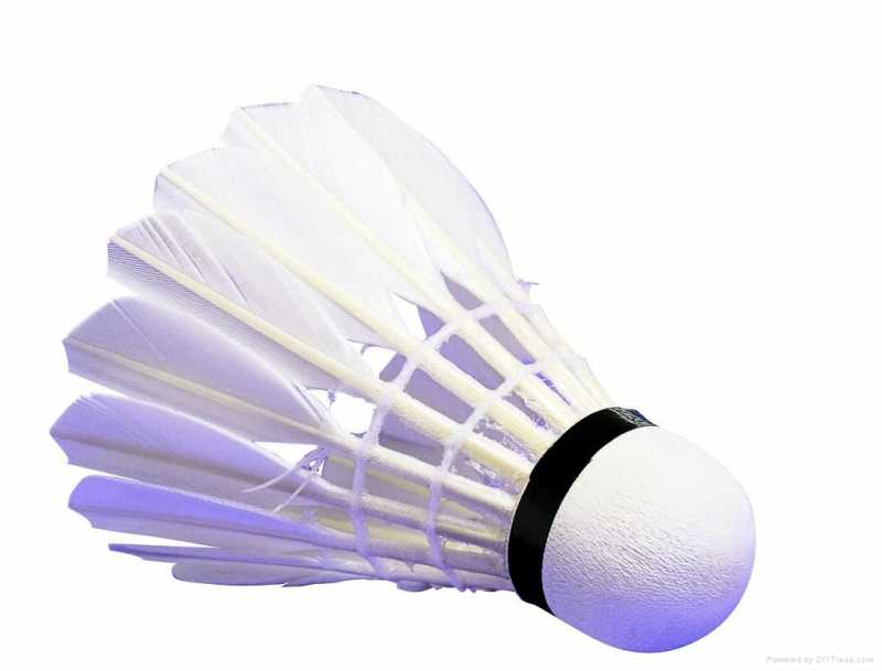 badminton-volant.jpg
