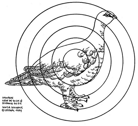 LAGOPEDE.jpg
