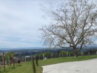 Journal de la manche de Gleisdorf en Autriche les 29 et 30 avril 2023