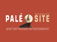 La manche du Paléosite de Saint Césaire, en Charente Maritime, les 17 et 18 juin 2023.