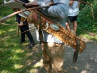 Journal de la manche de Chaize la Vicomte, en Vendée, les 03 et 04 juin 2023.