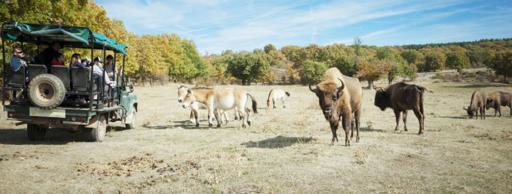 La manche de Atapuerca en Espagne, les 13 et 14 janvier 2024.