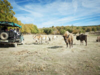 La manche de Atapuerca en Espagne, les 13 et 14 janvier 2024.