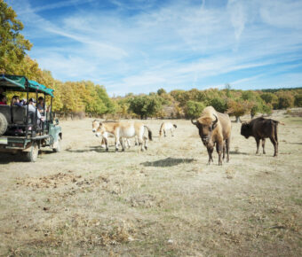 La manche de Atapuerca en Espagne, les 13 et 14 janvier 2024.