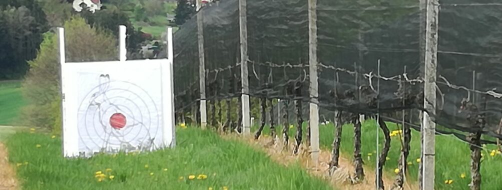 La manche de Gleisdorf, en Autriche, les 31 mai et 1er juin 2025.