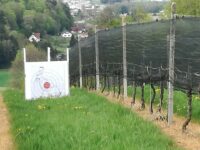 La manche de Gleisdorf, en Autriche, les 31 mai et 1er juin 2025.