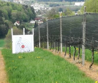 La manche de Gleisdorf, en Autriche, les 31 mai et 1er juin 2025.