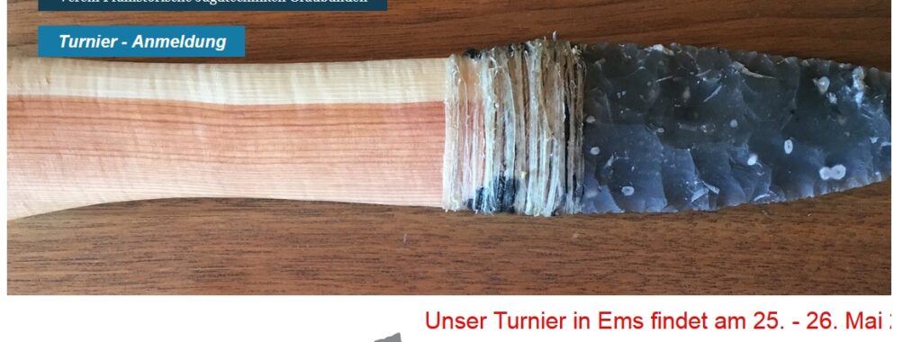 Affiches des manches année 2024