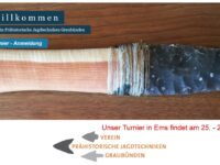 Affiches des manches année 2024