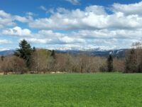 Journal de la manche de Vassieux en Vercors, dans la Drôme, les 19 et 20 avril 2025.