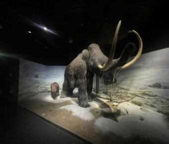 Journal de la manche de Tarascon, en Ariège, les 14 et 15 septembre 2024.