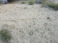 La manche de Rioja Almeria, en Espagne, les 26 et 27 avril 2025.