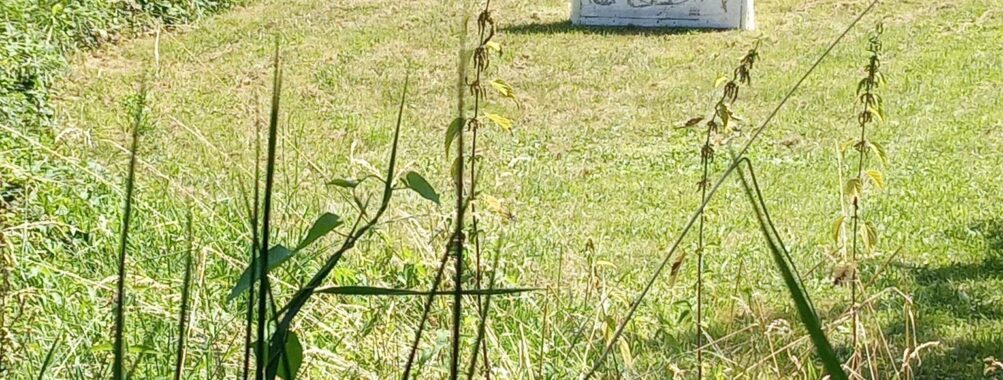 Final Championnat année 2023