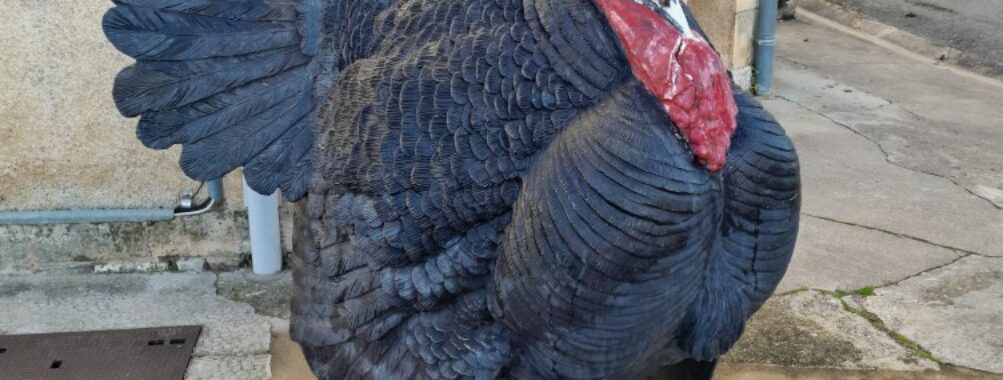 La manche de Auneau, dans l&rsquo;Eure et Loir, les 03 et 04 mai 2025.