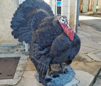 La manche de Auneau, dans l&rsquo;Eure et Loir, les 03 et 04 mai 2025.