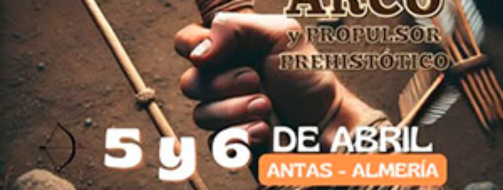 Affiches des manches année 2025