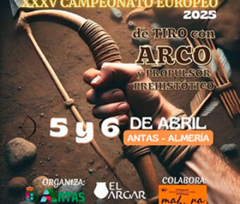 Affiches des manches année 2025