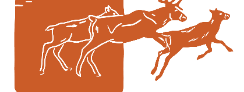 La manche de Zonhoven, en Belgique, les 20 et 21 septembre 2025.