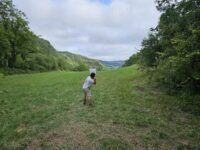 Journal de la manche du Mas d&rsquo; Azil, dans l&rsquo; Ariège Pyrénées, les 10 et 11 août 2024.