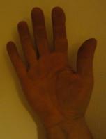 Illustration du profil de Olivier Daviau