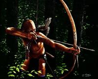 Illustration du profil de carbonell